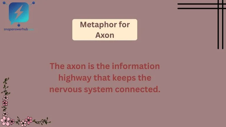 Metaphor for Axon