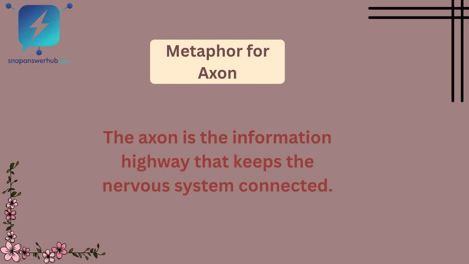 Metaphor for Axon