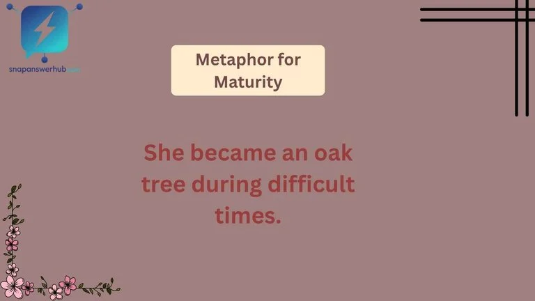 Metaphor for Maturity