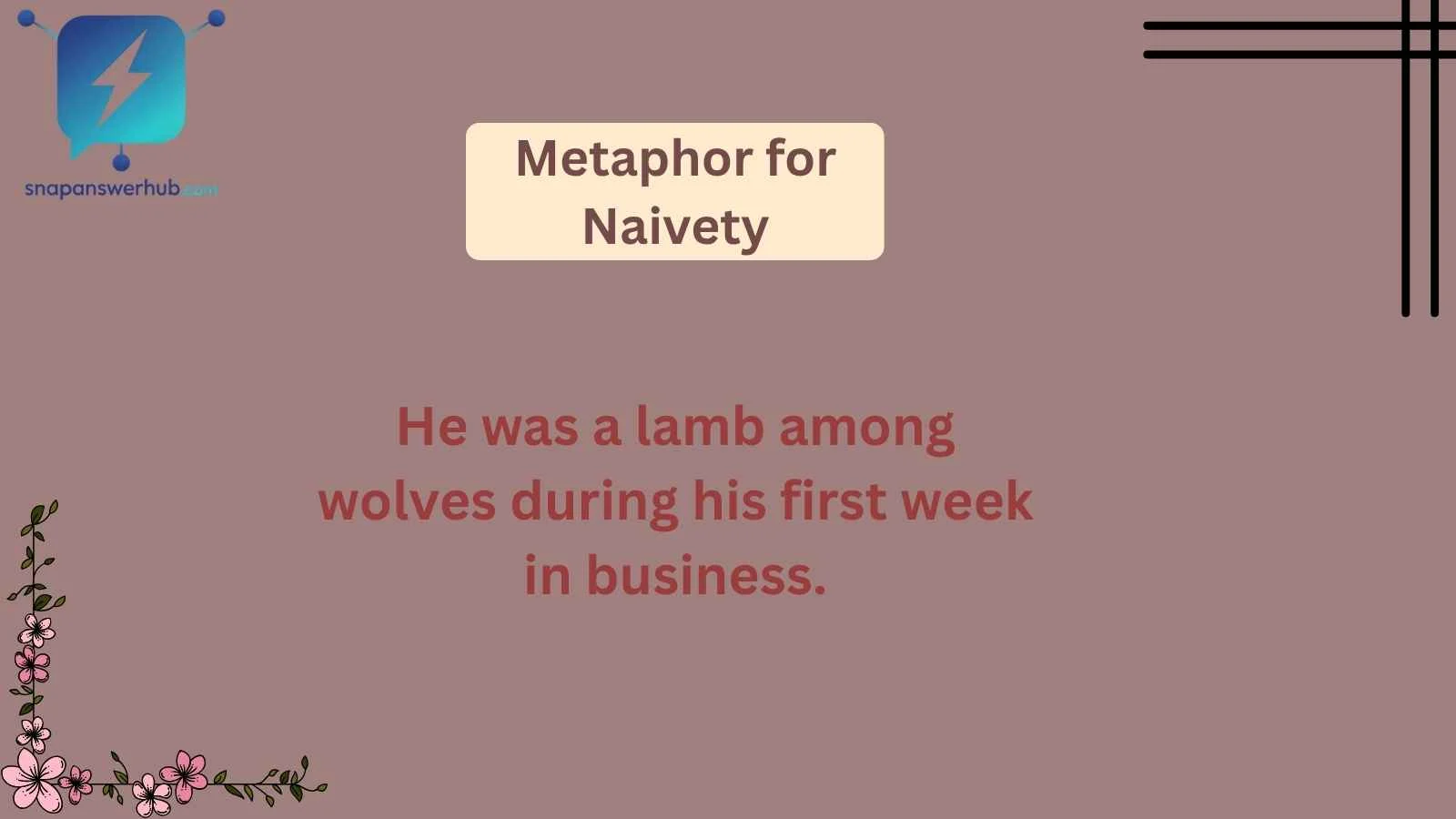 Metaphor for Naivety