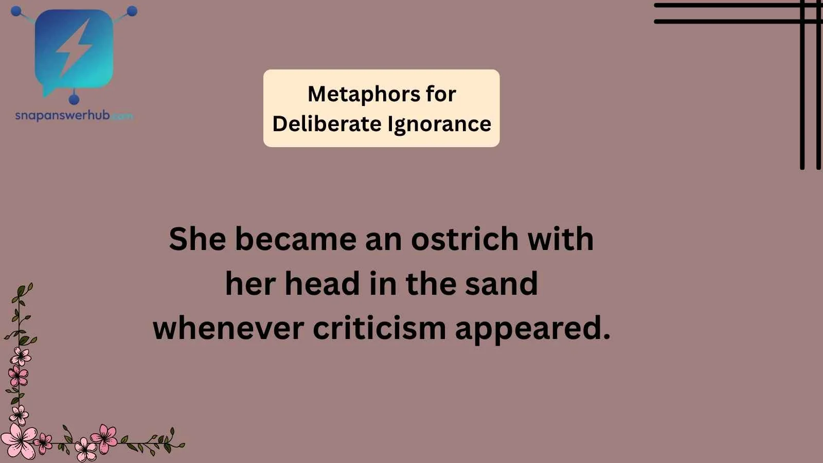 Metaphors for Deliberate Ignorance