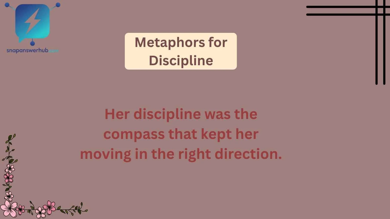 Metaphors for Discipline