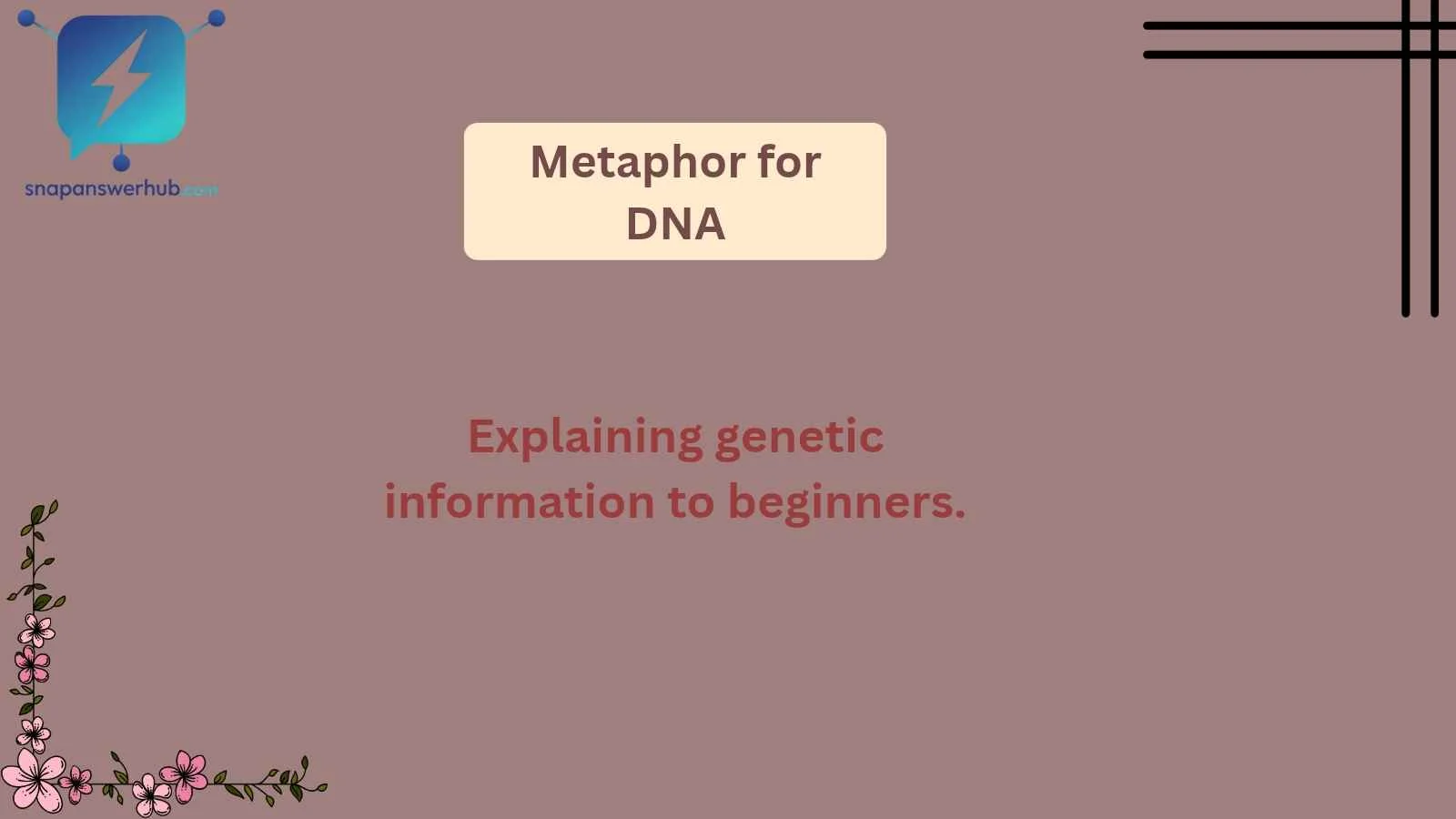 Metaphor for DNA