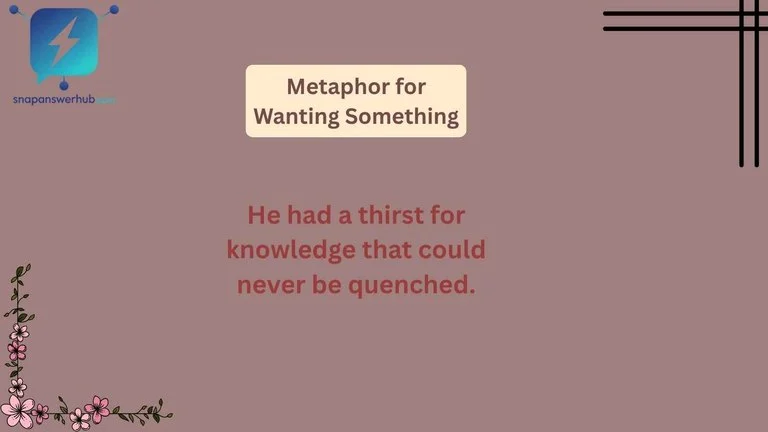 Metaphor for Wanting Something