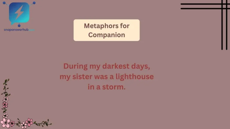 Metaphors for Companion